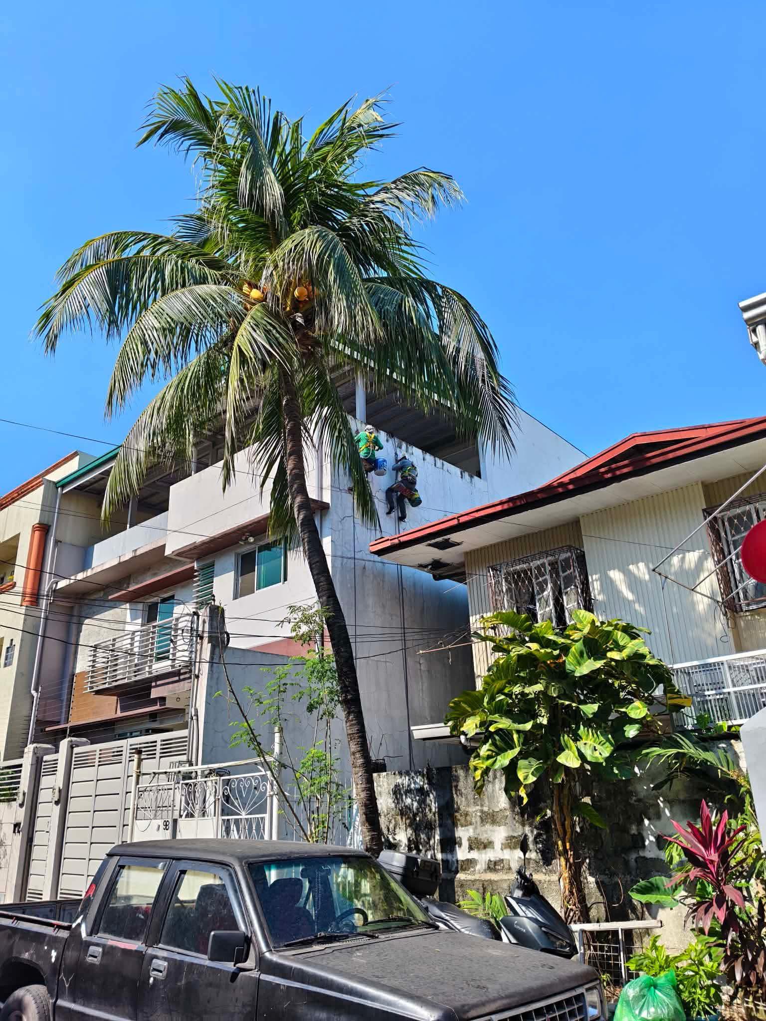 Judy Exterior Waterproofing, project by Irenedion Builders